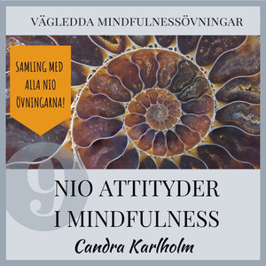 SAMLING: ALLA nio attityder i mindfulness